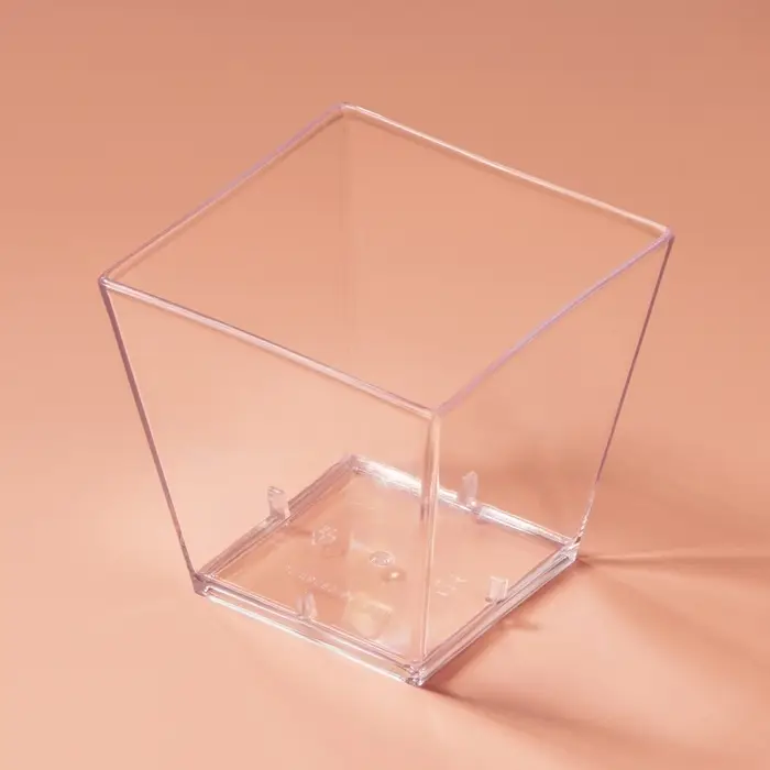 Форма пластиковая одноразовая для фуршета «Квадрат», 60 мл, прозрачная