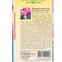 Набор семян Цикламен персидский, розовый, 3 шт.