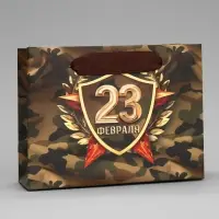 Пакет подарочный ламинированный, упаковка, «С 23 февраля», S 15 х 12 х 5.5 см