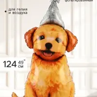 Воздушный шар фольгированный 49" &laquo;Песик в колпаке&raquo;