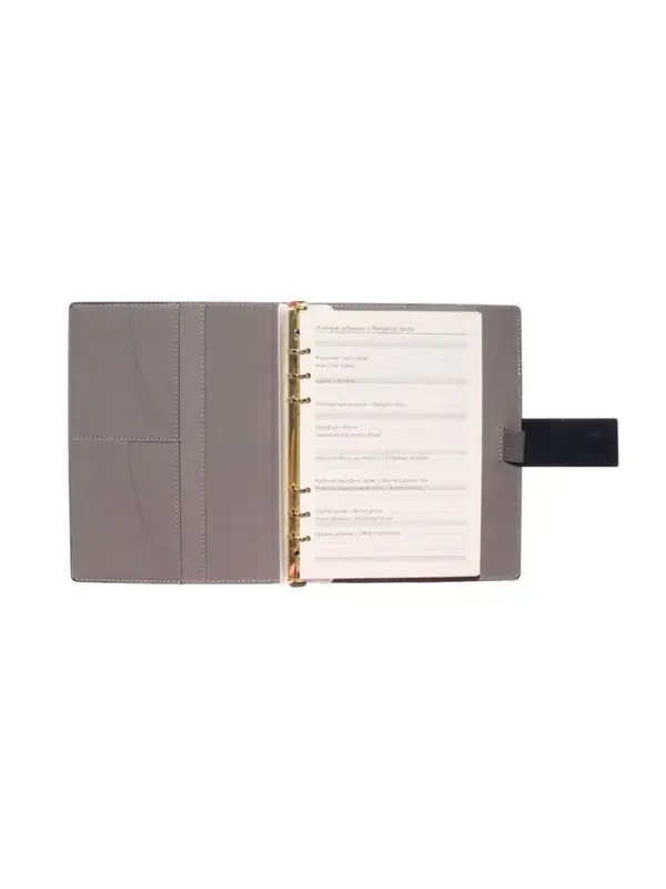 Органайзер на кольцах, А5, с хлястиком, 80л, линия, к/зам, Синий Органайзер на кольцах, А5, с хлястиком, 80л, линия, к/зам, Синий