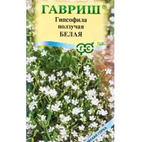 Семена цветов Гипсофила ползучая, Белая* 0,05 г