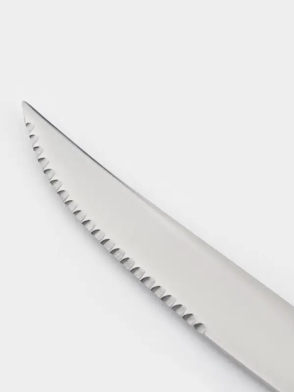 Нож для стейка Magistro &laquo;Эми&raquo;, длина 23 см, нержавеющая сталь, серебристый