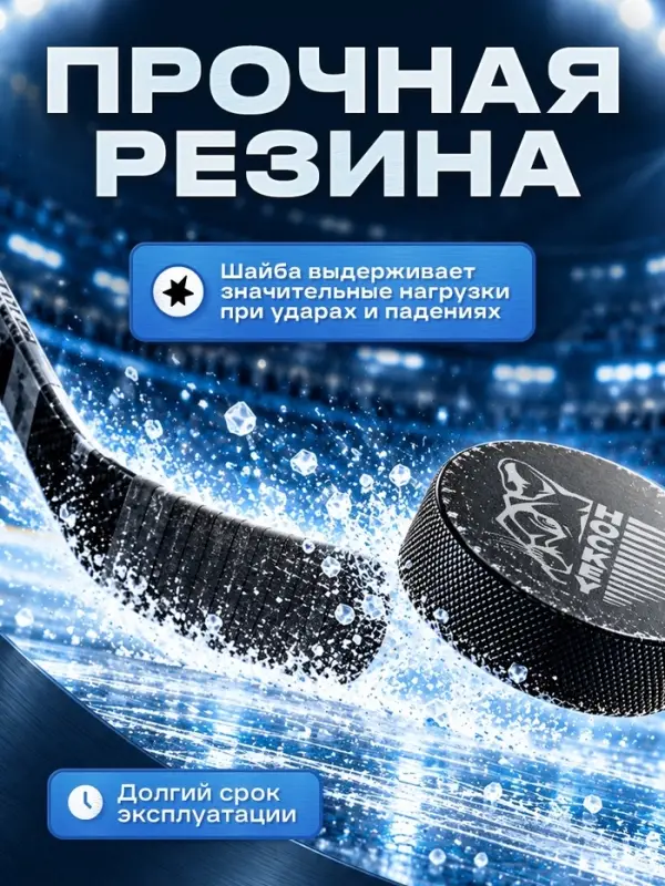 Шайба хоккейная Winter Star, взрослая, d=7.6 см