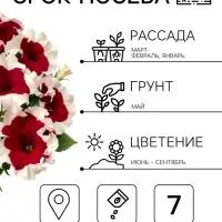 Семена Цветов Петуния &laquo;Малиновый каприз&raquo;, F1, 7 шт., &laquo;Агрофирма АЭЛИТА&raquo;