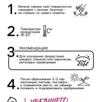 Семена Агератум «Красный букет», 0.05 г, «Семена Алтая»