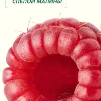 Мыло жидкое для рук, увлажнение и забота, аромат малины, 250 мл, Рябина