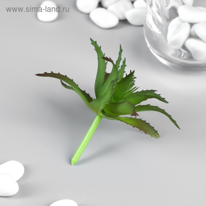 Искусственный суккулент для создания флорариума  Искусственный суккулент для создания флорариума "Алоэ древовидное" 6,5х7х7 см