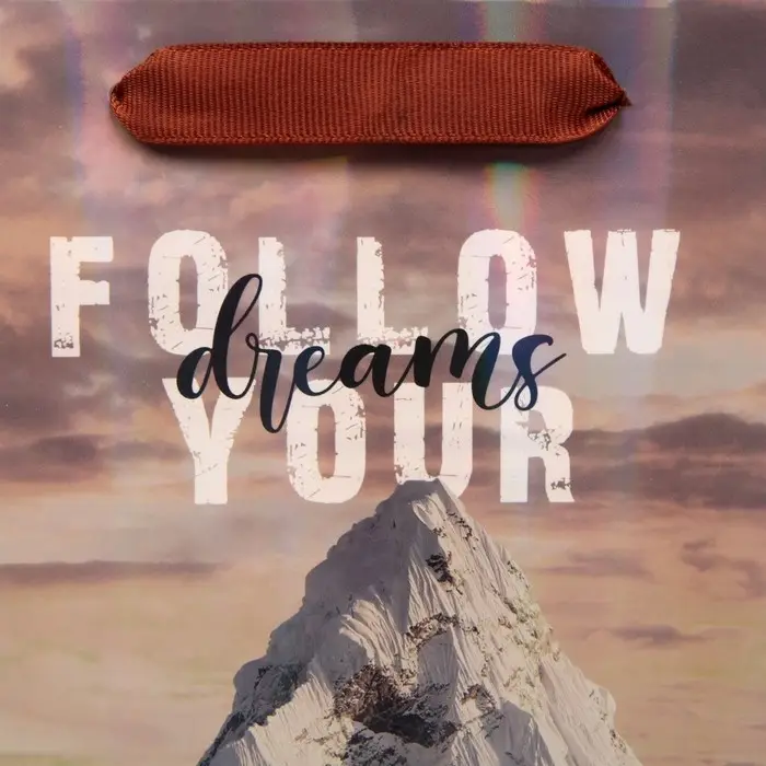 Пакет подарочный ламинированный, упаковка, «Гора», радужная голография, MS 18 х 23 х 10 см