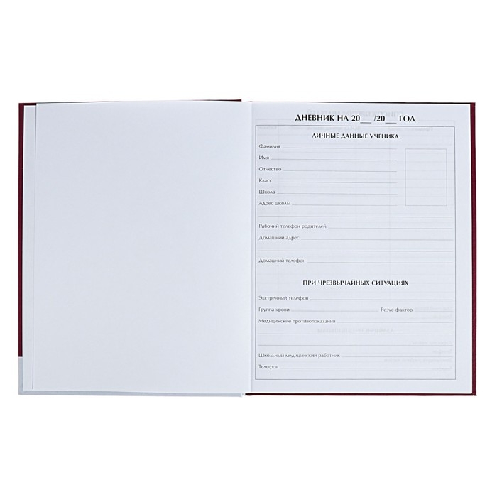 Дневник для 1-4 классов Дневник для 1-4 классов "Енотик", твёрдая обложка, глянцевая ламинация, 48 листов