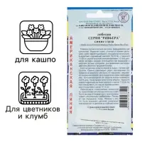 Семена цветов Лобелия кустовая &laquo;Ривьера. Синие глаза&raquo;, мультидраже, 5 шт., однолетник, &laquo;Престиж семена&raquo;