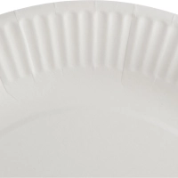 Тарелка одноразовая бум. 23см круглая, белая, 250г/м2, 50шт/уп