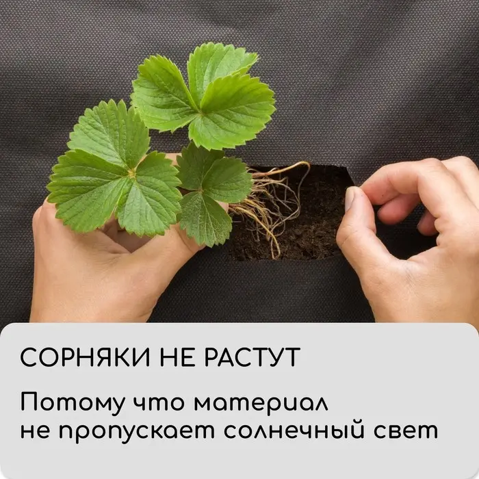 Материал мульчирующий, 10&times;1.6 м, плотность 60 г/м&sup2;, спанбонд с УФ-стабилизатором, четыре ряда перфорации, чёрный, Greengo, Эконом 30%