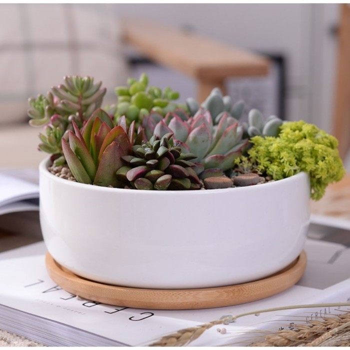 Горшок Горшок "Эко Бонсай" круг, 17х7см, белый