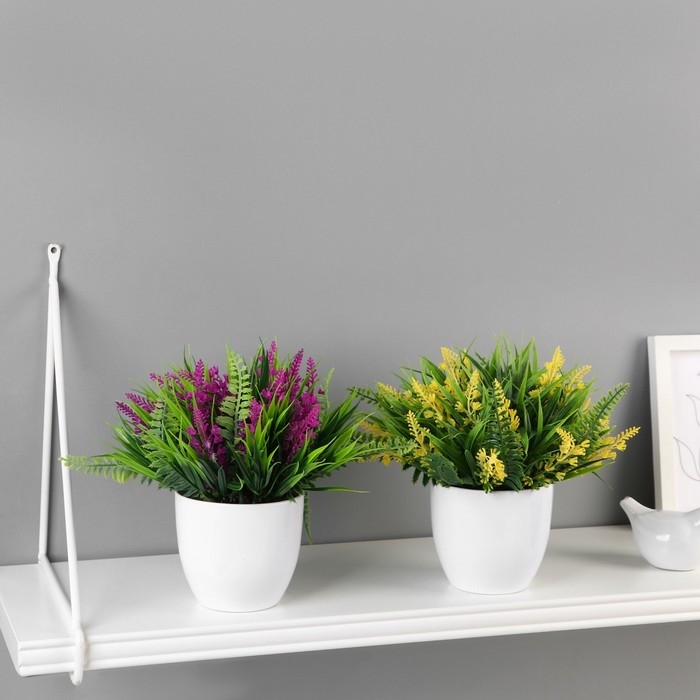 Бонсай в горшке Бонсай в горшке "Лаванда галант" 11х14 см, микс