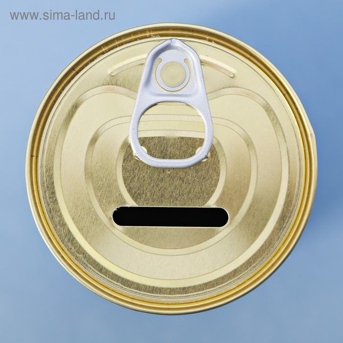 Копилка-банка металл Копилка-банка металл "На покорение мира"