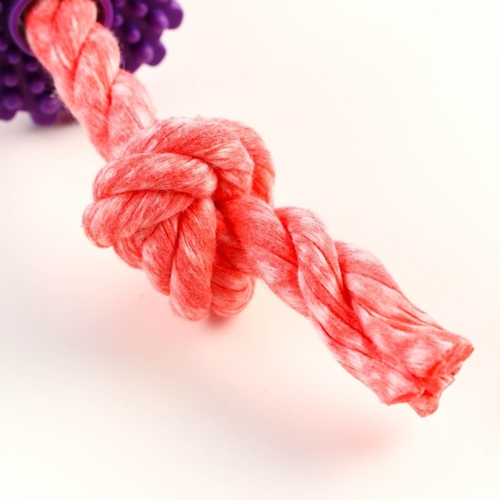 Игрушка жевательная Игрушка жевательная "Шестерёнка на канате", до 20 см, красная