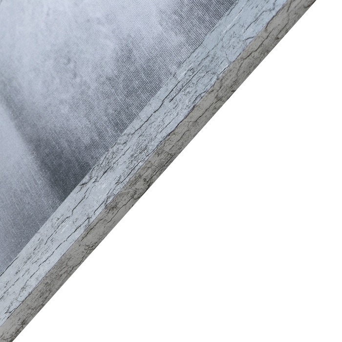 Картина  Картина "Девушка и леопард" 56х106см рамка микс