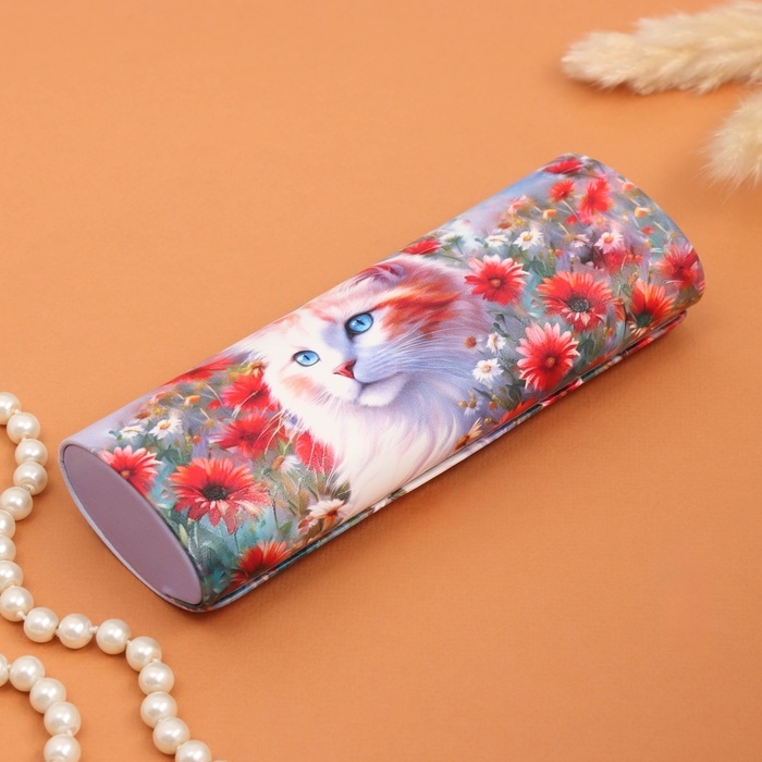 Очечник Очечник "Рыжий котик", 17х7 см