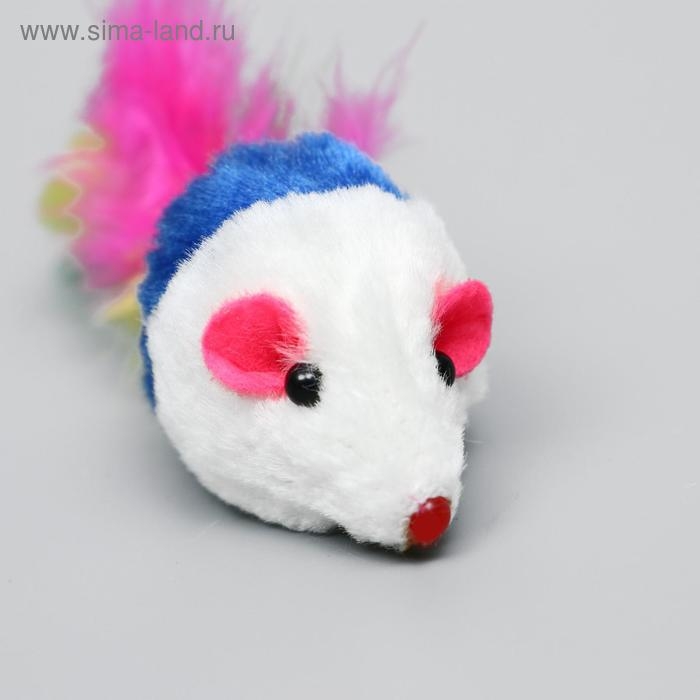 Набор игрушек для кошек: мышь 5 см и игрушка с бубенчиком  Набор игрушек для кошек: мышь 5 см и игрушка с бубенчиком "Амфитеатр" 6,8х4 см, микс цветов