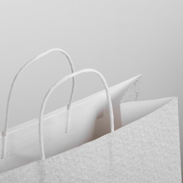 Пакет подарочный новогодний крафт «Чудесный праздник», 25 х 22 х 12 см, Новый год Пакет подарочный новогодний крафт «Чудесный праздник», 25 х 22 х 12 см, Новый год