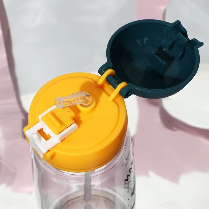 Бутылка для воды «Иду гулять в любую погоду», 750 мл Бутылка для воды «Иду гулять в любую погоду», 750 мл