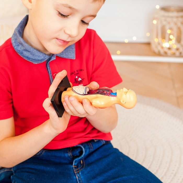 Набор для опытов «Анатомия человека» Набор для опытов «Анатомия человека»