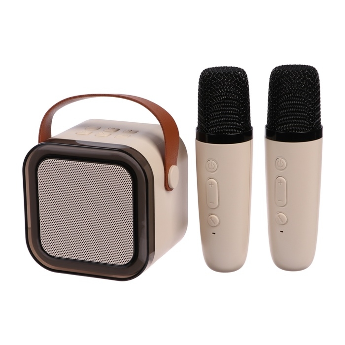Мини караоке-система K12, 5 Вт, 2 микрофона, 800/400мАч, Jack 3.5, Type-С, USB, RGB,бежевая Мини караоке-система K12, 5 Вт, 2 микрофона, 800/400мАч, Jack 3.5, Type-С, USB, RGB,бежевая