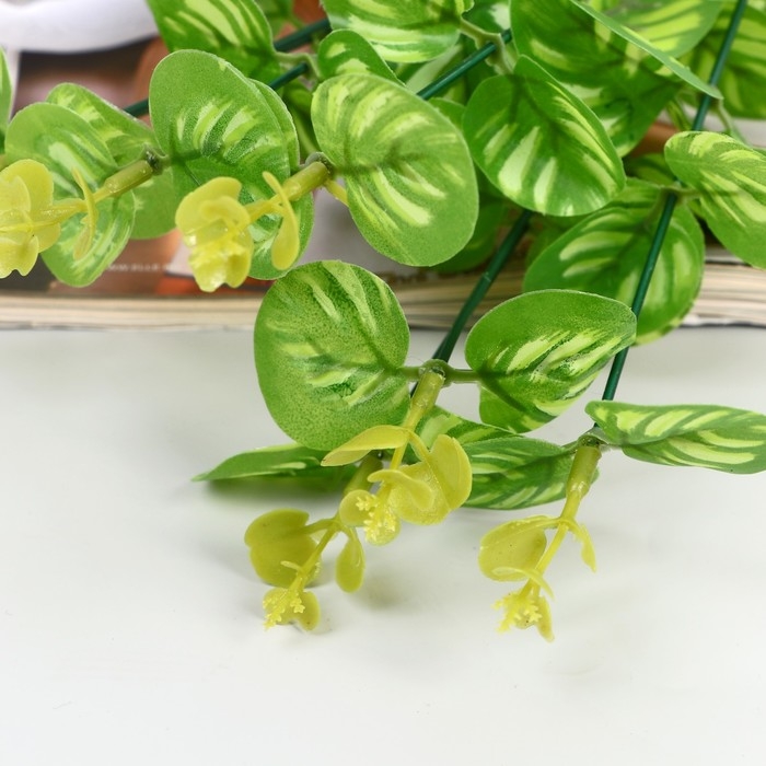 Букет Букет "Кассия декоративная" 29 см, микс