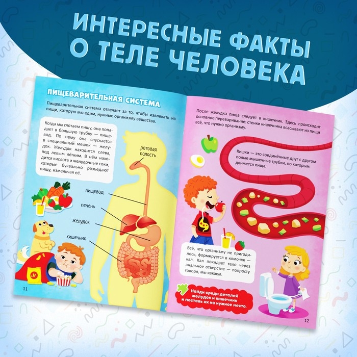 Набор «Моё тело», мегапазл с обучающей книгой Набор «Моё тело», мегапазл с обучающей книгой