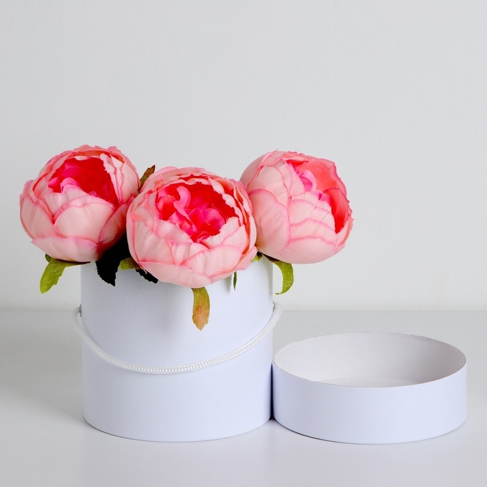 Подарочная коробка, круглая, белая,с шнурком, 12 х 12 см Подарочная коробка, круглая, белая,с шнурком, 12 х 12 см