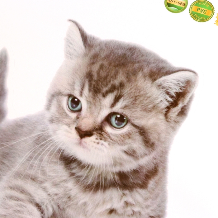 Наклейка 3Д интерьерная Котик 29*21см Наклейка 3Д интерьерная Котик 29*21см