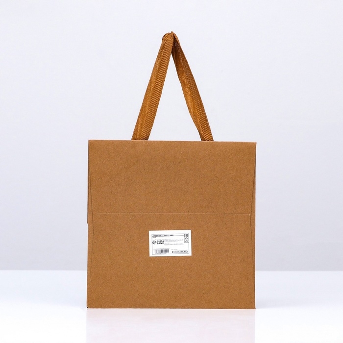 Пакет подарочный, крафт, с окном, 20 х 20 х 20 см Пакет подарочный, крафт, с окном, 20 х 20 х 20 см