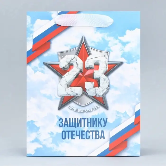 Пакет подарочный ламинированный, упаковка, &laquo;С 23 февраля&raquo;, MS 18&times;23&times;10 см