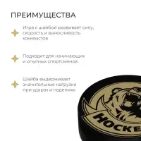 Шайба хоккейная Winter Star, взрослая, d=7.6 см