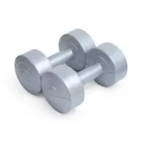 Гантели виниловые, 2 шт., 2 кг, серебристый металлик