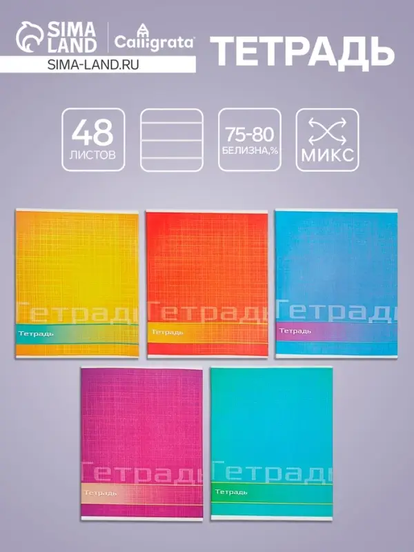 Тетрадь 48 листов в линейку Calligrata «Цвет и графика», обложка мелованная бумага, блок №2, белизна 75% (серые листы), МИКС