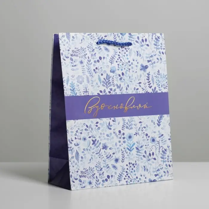 Пакет подарочный ламинированный, упаковка, «Вдохновляй», MS 18 х 23 х 8 см Пакет подарочный ламинированный, упаковка, «Вдохновляй», MS 18 х 23 х 8 см