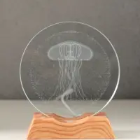 Сувенир стекло свет "Диск. Медуза" 5хLED d=10 см, USB 10х4х11,4 см Сувенир стекло свет "Диск. Медуза" 5хLED d=10 см, USB 10х4х11,4 см