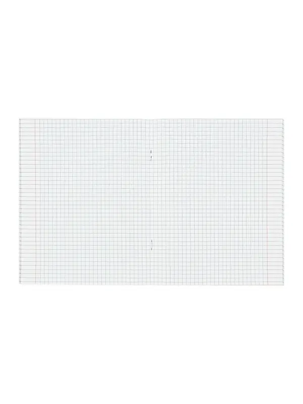 Набор предметных тетрадей Calligrata TOP &laquo;Журнал&raquo;, 10 предметов, 48 листов, со справочным материалом, картонная обложка