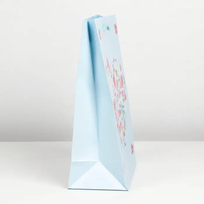 Пакет подарочный ламинированный, упаковка, Present for you, MS 18 х 23 х 8 см