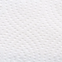 Полотенца бумажные д/дисп. FOCUS Eco Vсл 1сл бел 200л 15пач/уп 5083743 п/э