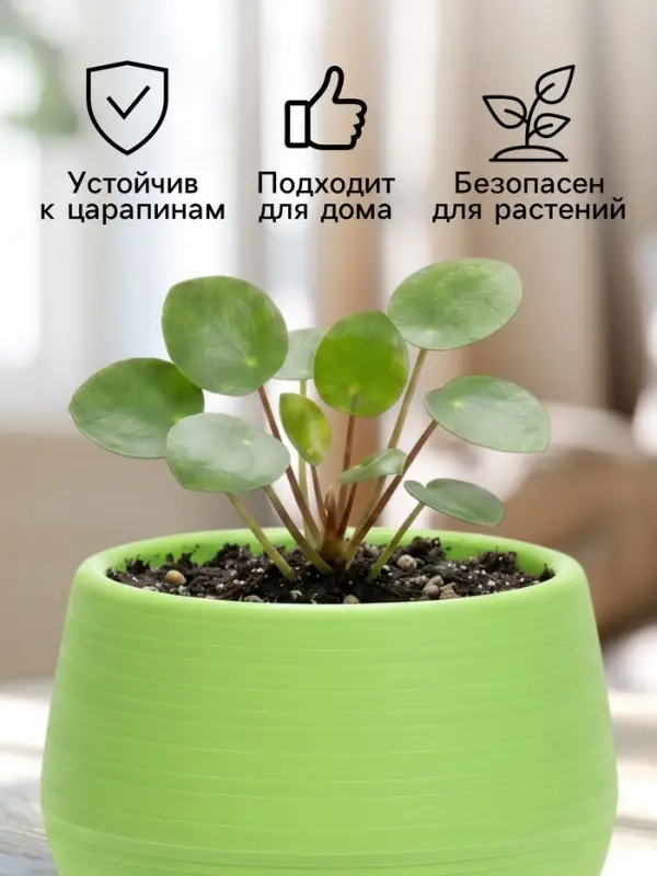 Горшок цветочный &laquo;Япония&raquo;, 125 мл, d=8 см, h=6.5 см, пластиковый, с поддоном, фисташковый