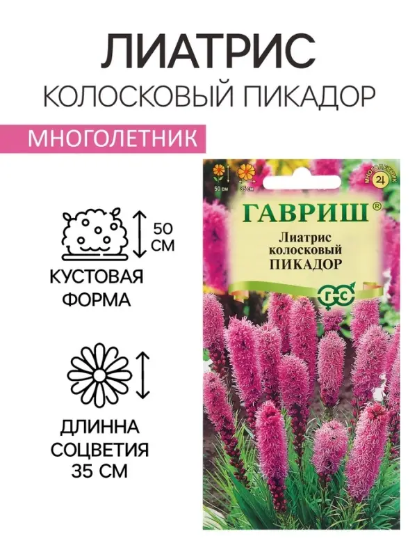 Семена Лиатрис Семена Лиатрис "Пикадор", ц/п, 0,05 г