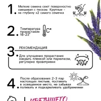 Семена Вероника "Синяя", ц/п, 0,02 г Семена Вероника "Синяя", ц/п, 0,02 г