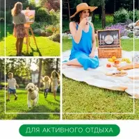 Газонная травосмесь &laquo;Мавританский &raquo; 0.5 кг