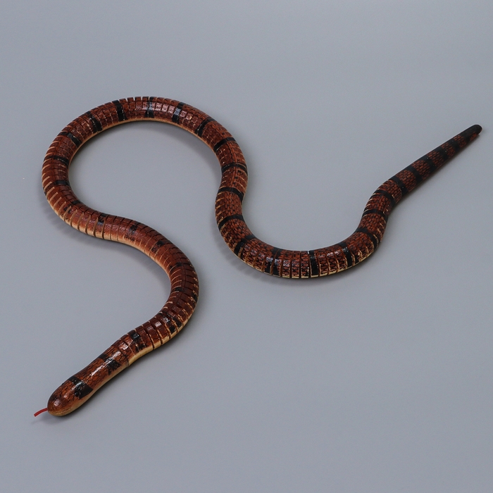 Деревянная игрушка «Змея», 100 × 2 × 2 см