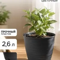 Горшок цветочный с поддоном Saffron, 2.6 л, d=17.6 см, h=16.2 см, пластиковый, серый