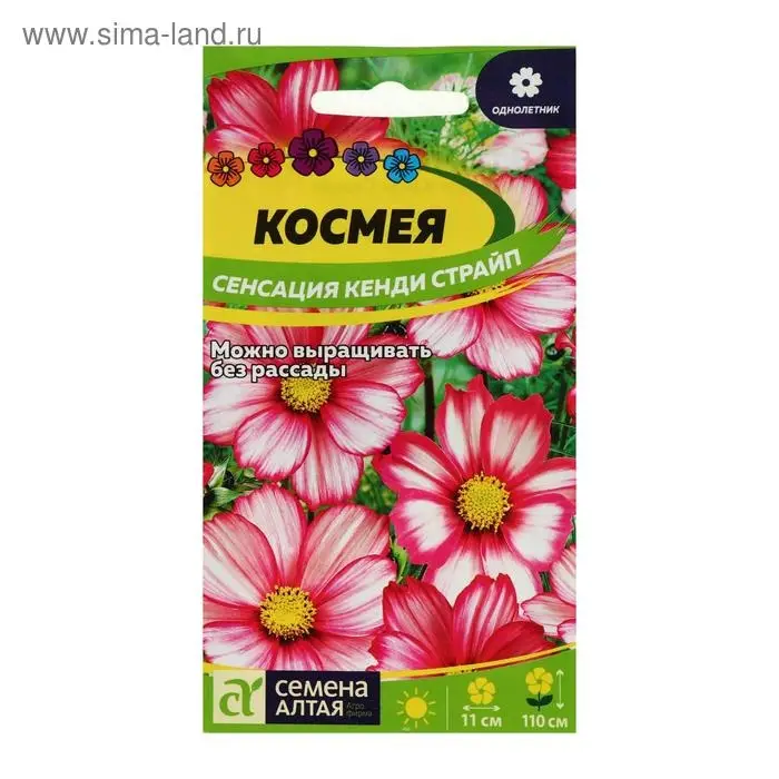 Семена цветов Космея  Семена цветов Космея "Сенсация" Кенди Страйп, О, ц/п, 0,5 г