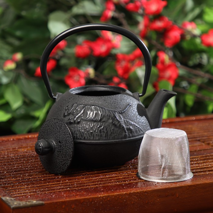 Чайник для плиты Доляна «Чёрный тигр», 700 мл, с ситом, чугун, эмалированное покрытие внутри, индукция, цвет чёрный Чайник для плиты Доляна «Чёрный тигр», 700 мл, с ситом, чугун, эмалированное покрытие внутри, индукция, цвет чёрный